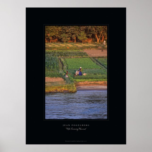 poster "Nile Evening Harvest" (Frente)