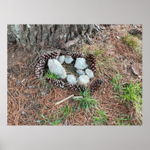 Poster Ninho de Izzy