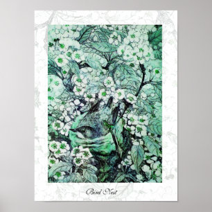 Poster NINHO DE PÁSSARO, branco verde