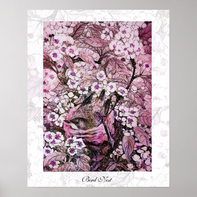 Poster NINHO DE PÁSSARO, branco vermelho rosa violeta (Frente)