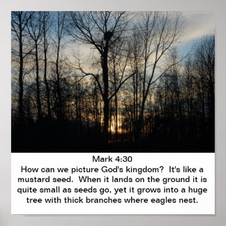 Poster Ninho do Reino de Deus