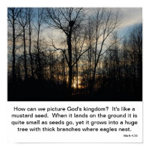 Ninho do Reino de Deus