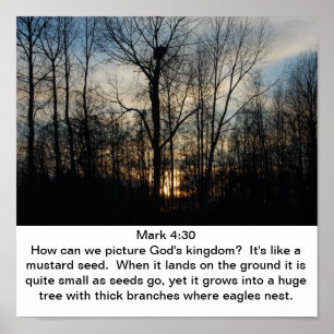 Poster Ninho do reino do deus