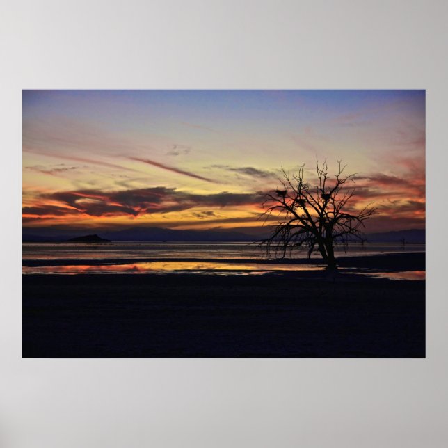 Poster Ninhos Vazios em uma Árvore de Morto (Frente)