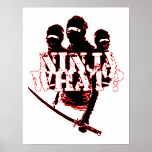 POSTER NINJA QUE?