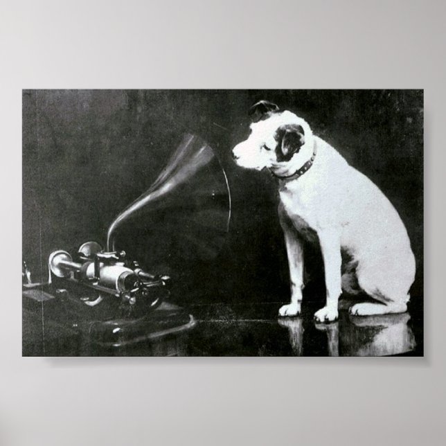 Poster Nipper original (Frente)