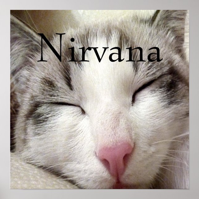 Poster Nirvana Cat (Frente)