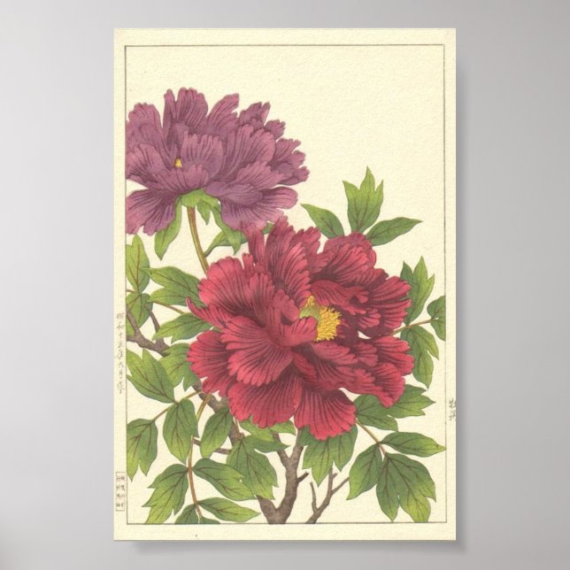 Poster Nishimura Hodo Peônia Flores Japoneses Arte Fino (Frente)