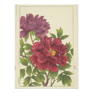 Pôster Nishimura Hodo Peônia Flores Japoneses Arte Fino