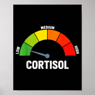 Poster Níveis baixos de cortisol meme