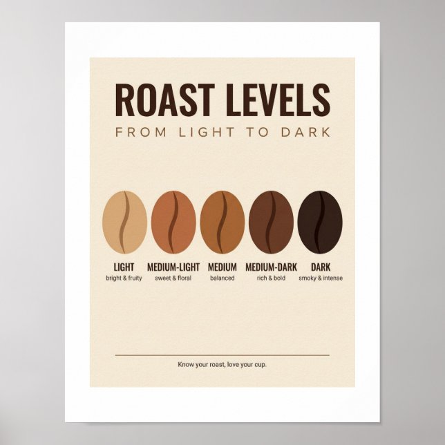 Pôster Níveis de Torra de Café  (Frente)