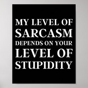 Poster Nível de Sarcasmo Humor Sarcástico Feminino Engraç