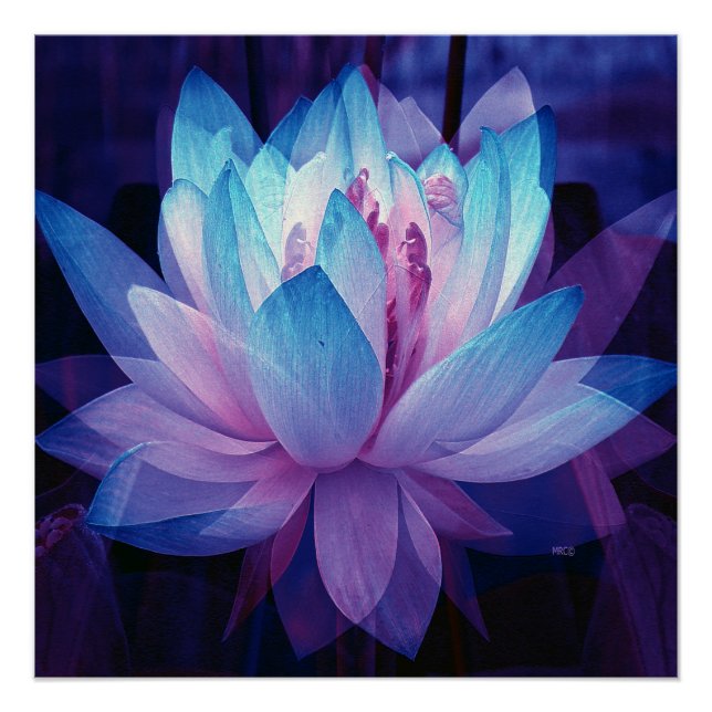 Pôster No Amor Perfeito... (Frente)