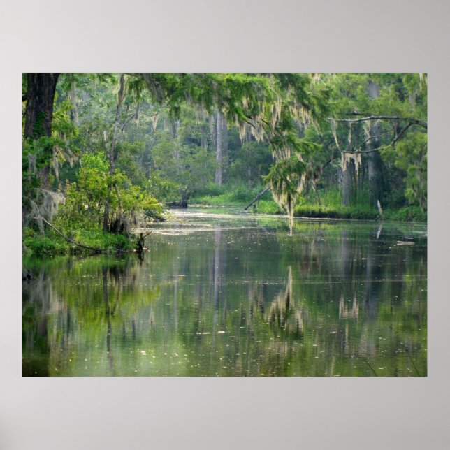 Pôster No Bayou (Frente)