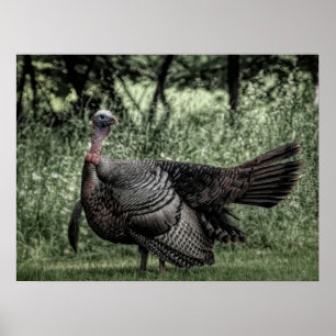 Poster No bosque - Sage Green B&W