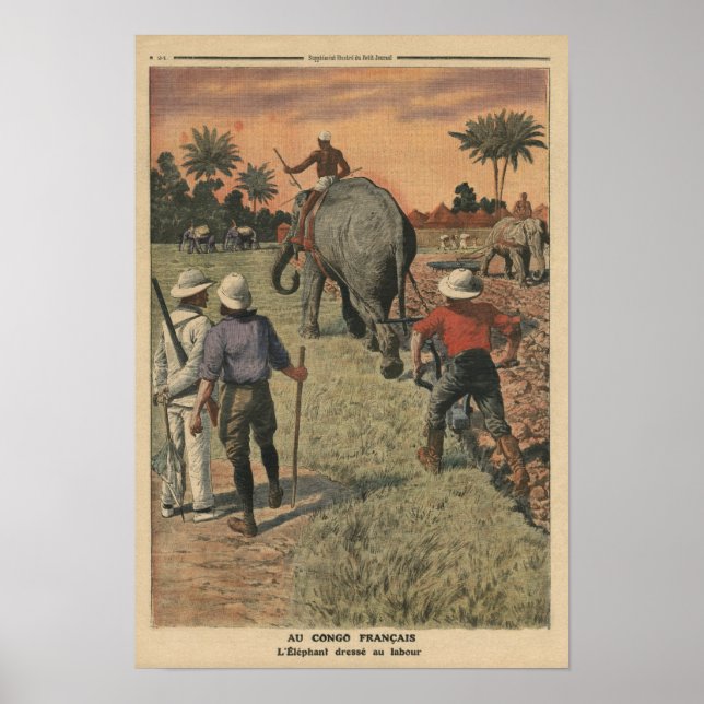 Poster No Congo francês, elefante treinado para arar (Frente)