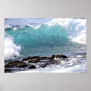 POSTER NO CURL