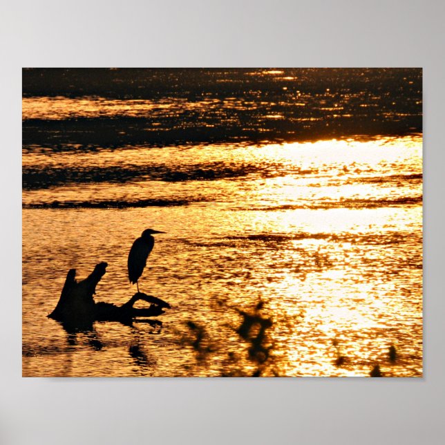 Pôster No lago ouro (Frente)