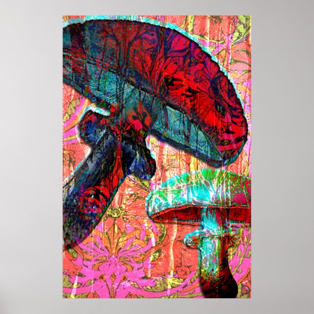 Poster No País das Maravilhas II (Frente)