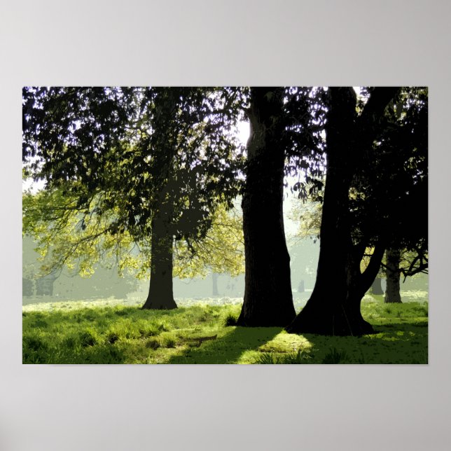 PÔSTER NO PARQUE (Frente)