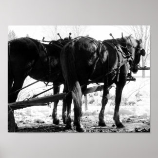 Pôster No Posto Hitching