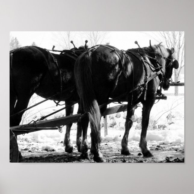 Pôster No Posto Hitching (Frente)