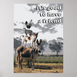 Poster No Topo
