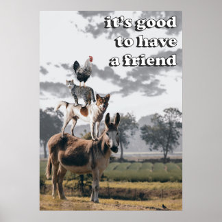 Poster No Topo