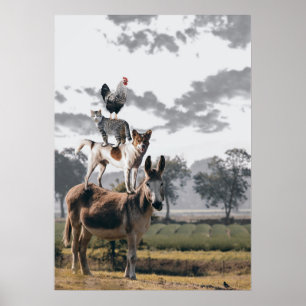 Poster No Topo
