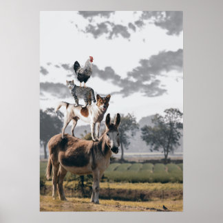 Poster No Topo 