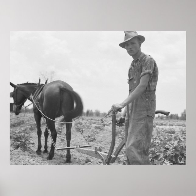 Pôster No trabalho no algodão (Frente)