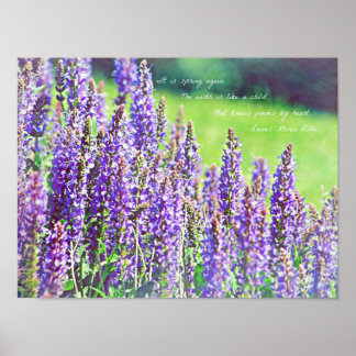 Poster no vale de roxo