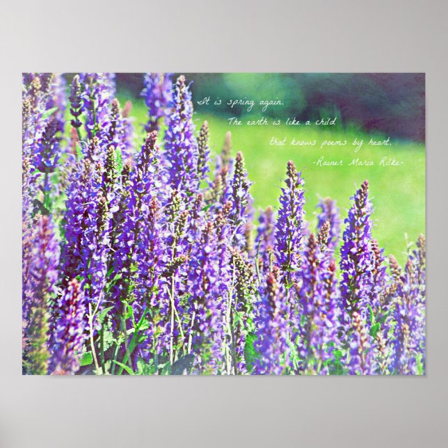 Poster no vale de roxo (Frente)