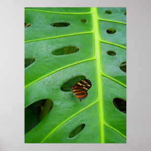 Poster No verde