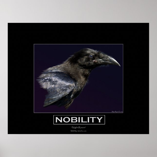 Poster NOBILITY Motivational Raven Portait (Frente)