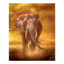 Nobreza do Elefante Africano