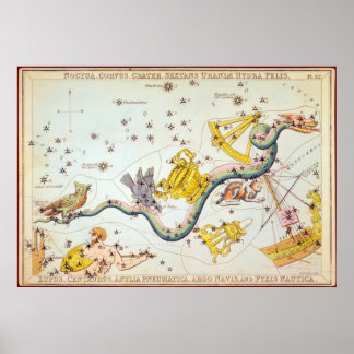 Poster Noctua, Corvus, Crater, etc