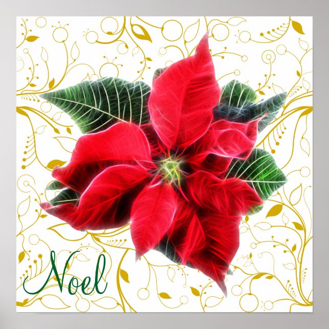 Pôster Noel Poinsettia (Frente)