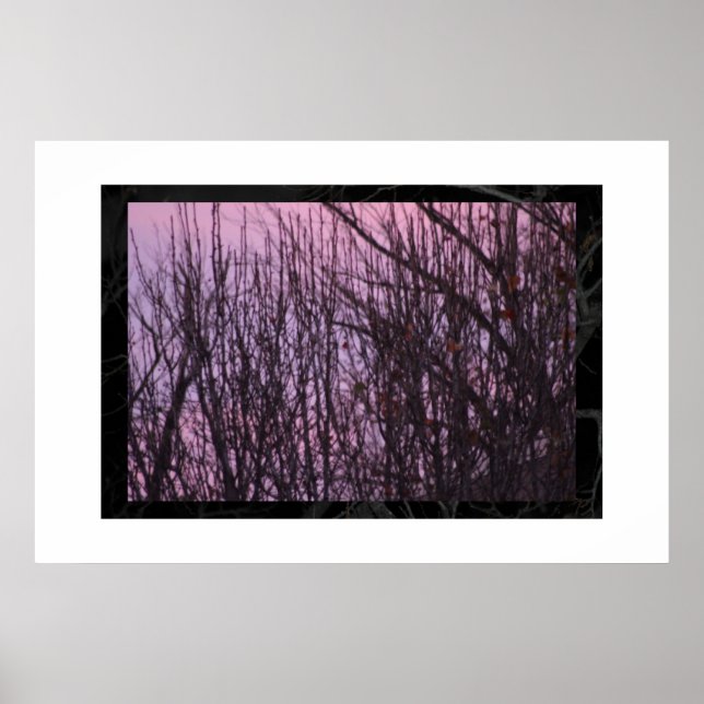 Pôster noite (Frente)