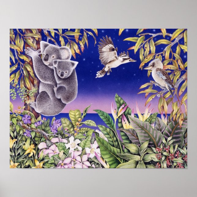 Poster Noite australiana (Frente)