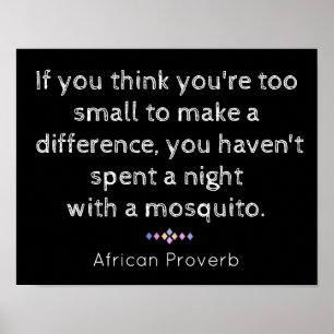 Pôster Noite com mosquito - provérbio africano -