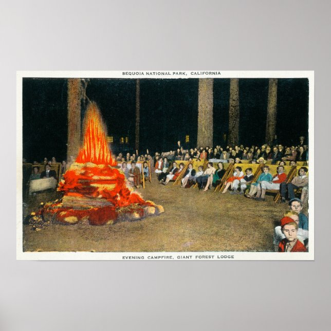Poster Noite de Bonfire em Giant Forest Lodge (Frente)