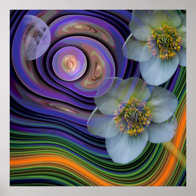 Pôster Noite de Helleboris, abstrato artístico floral (Frente)