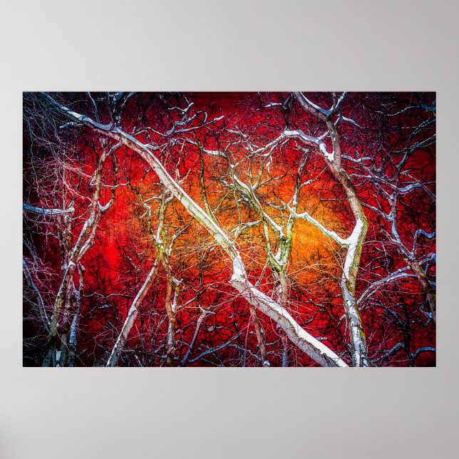 Pôster Noite de inverno Vermelho (Frente)