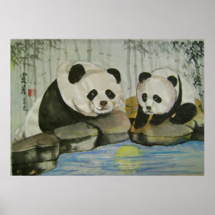 Pôster noite de lua