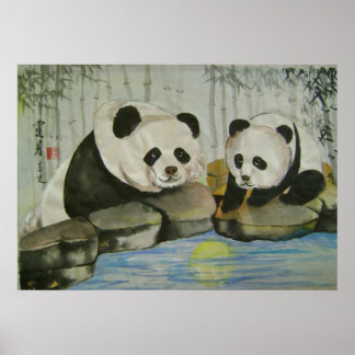 Pôster noite de lua