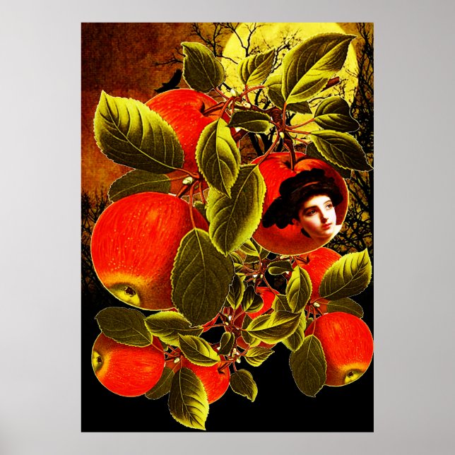 Poster Noite de lua (Frente)