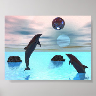 Poster Noite dos Golfinhos