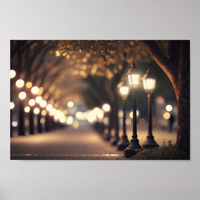 Poster Noite no Parque com iluminação Bokeh (Frente)
