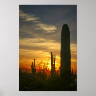 Poster Noites de Deserts